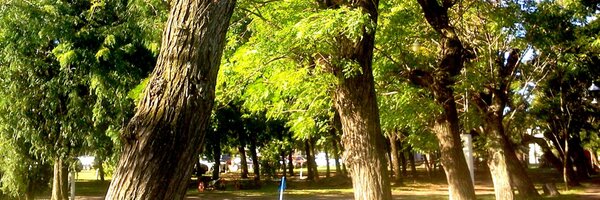 SAGABinfo Profile Banner