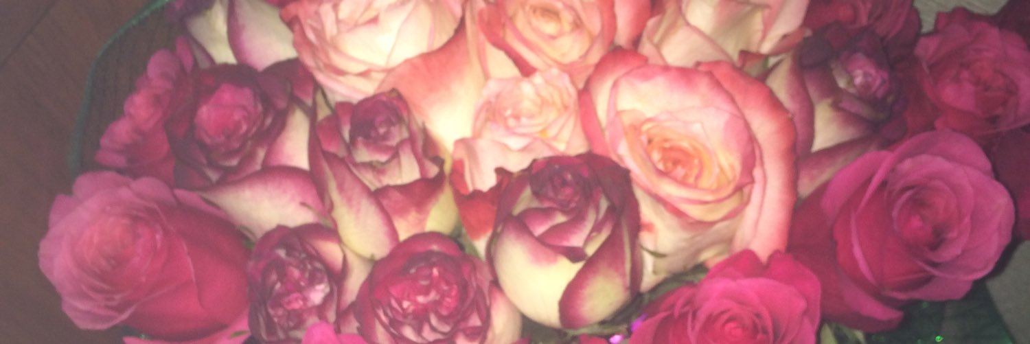 Sakura_blume_'s profile banner image