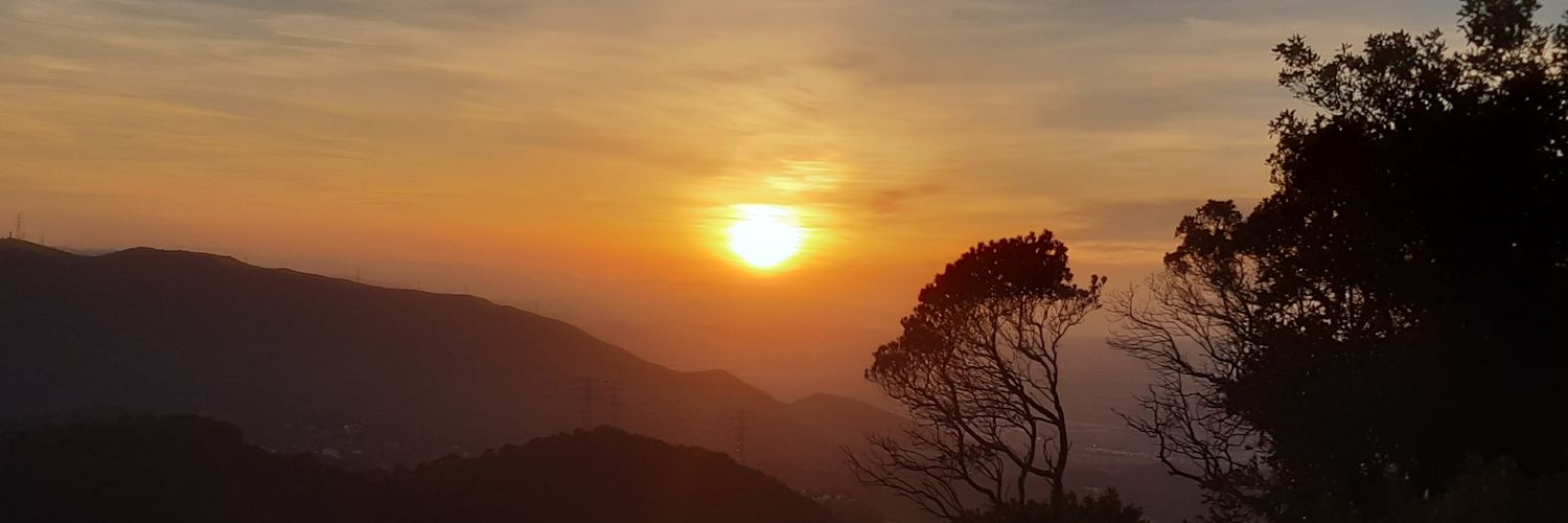 MBisiada's profile banner image