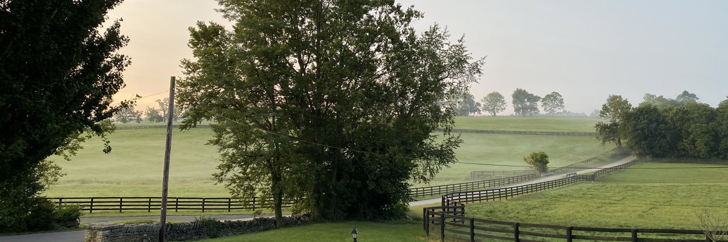 Daniel Weaver banner