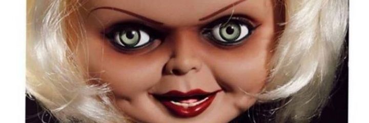 MgSolci's profile banner image