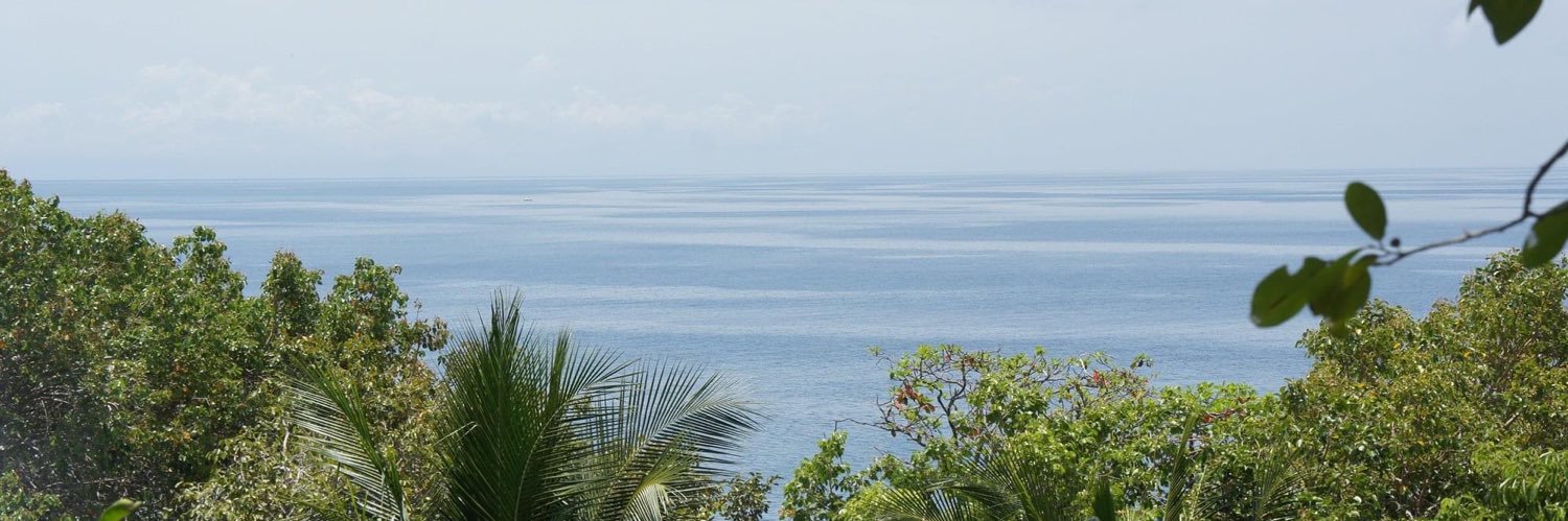 Jeff Powell🎼 banner