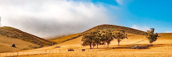 RKelapire Profile Banner
