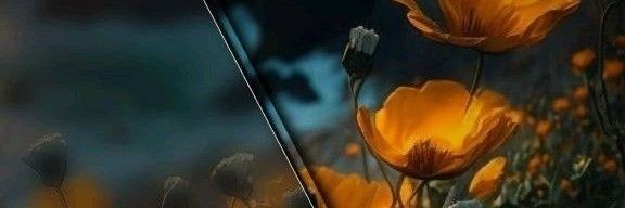 rjay_toh's profile banner image
