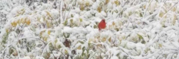 beeleevitonly Profile Banner