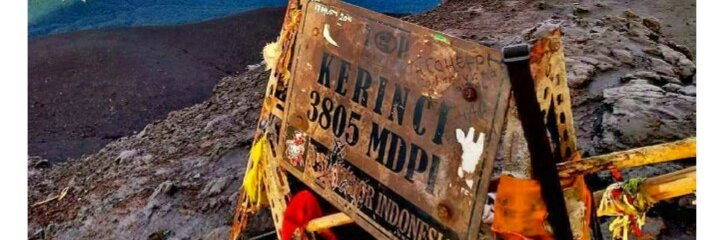 dumpedside banner