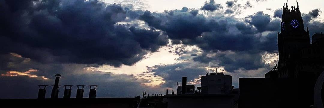 violetalegre's profile banner image