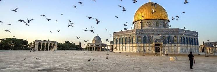 MB_Beyza_'s profile banner image