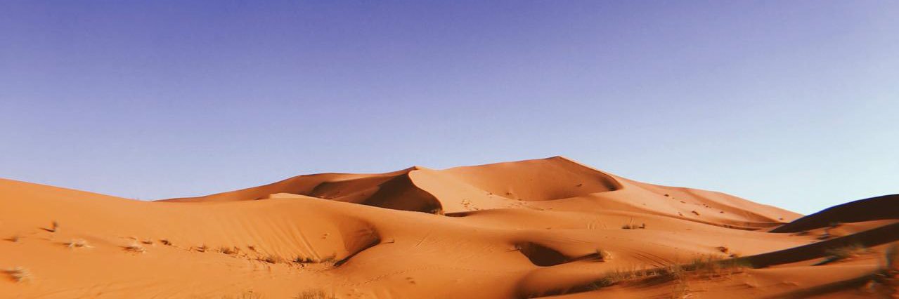 felulafo_'s profile banner image