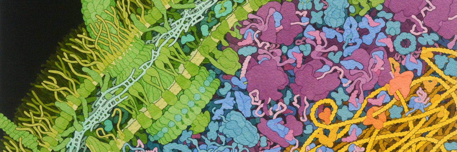 Gibson Lab's banner