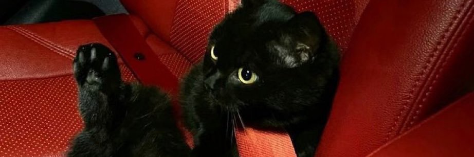 v banner