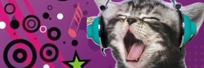 vvvx's profile banner image
