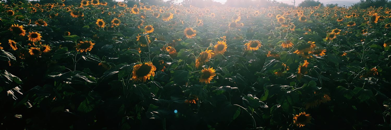 eyarip_'s profile banner image