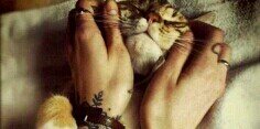 Beatriz banner