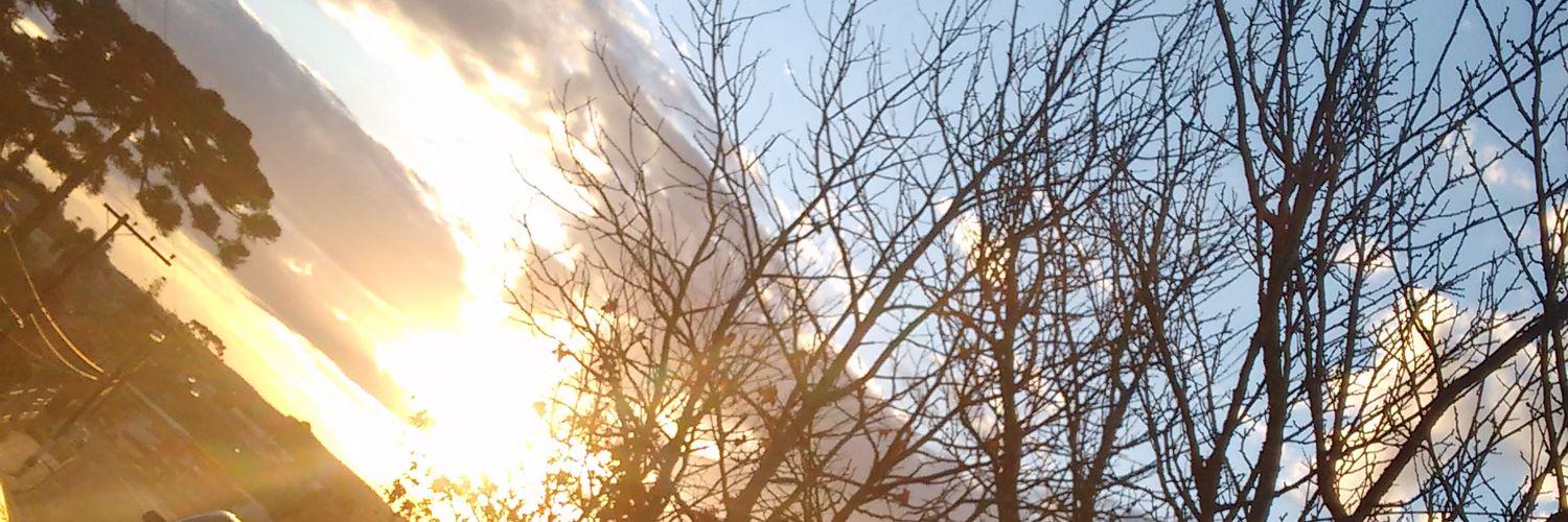 betty_schuck's profile banner image
