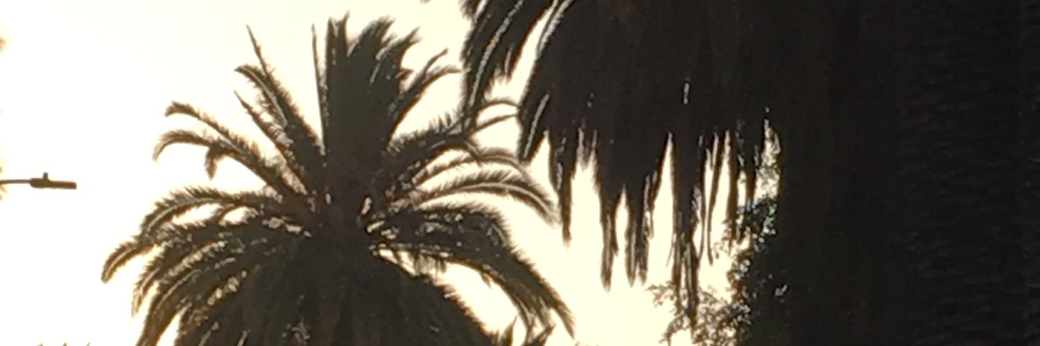 originaltboy's profile banner image