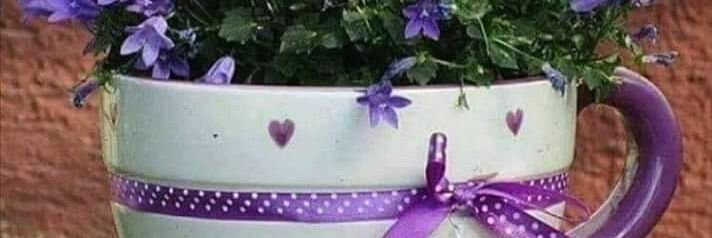 emrebornva's profile banner image