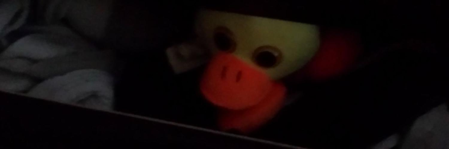cr33pyduck's profile banner image