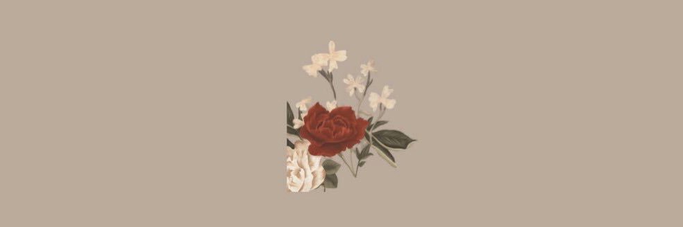 babynopromisess's profile banner image