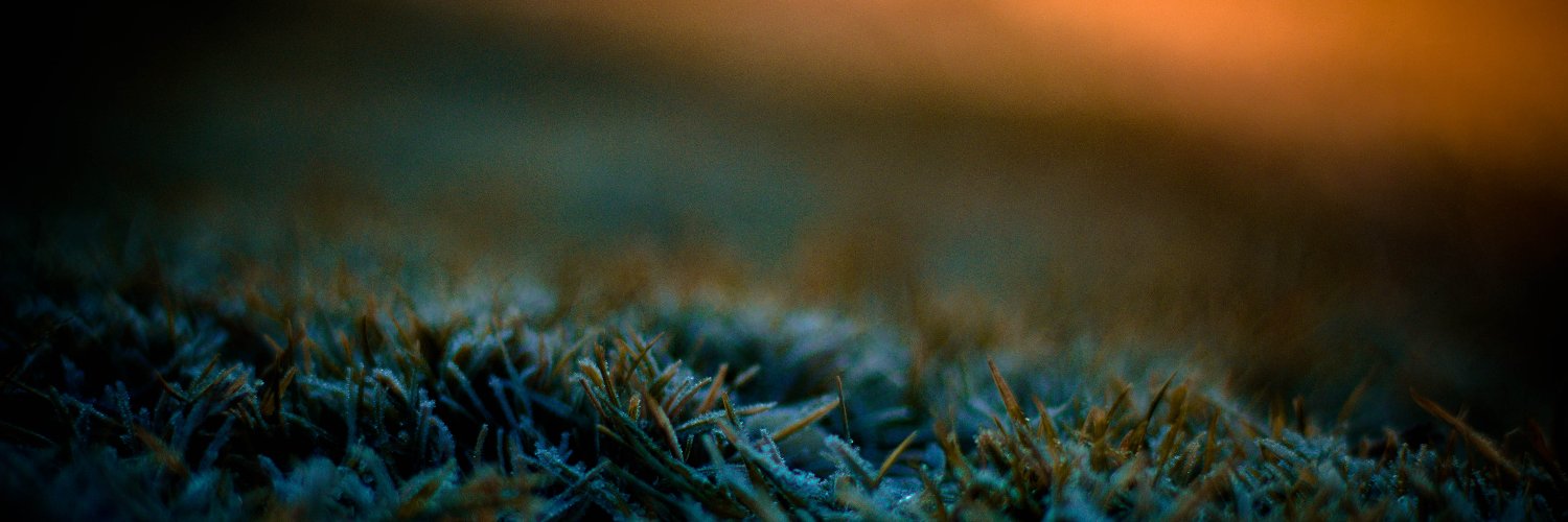 ikitse's profile banner image