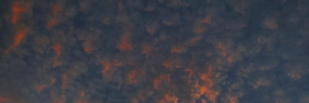 MariaJoseMak's profile banner image