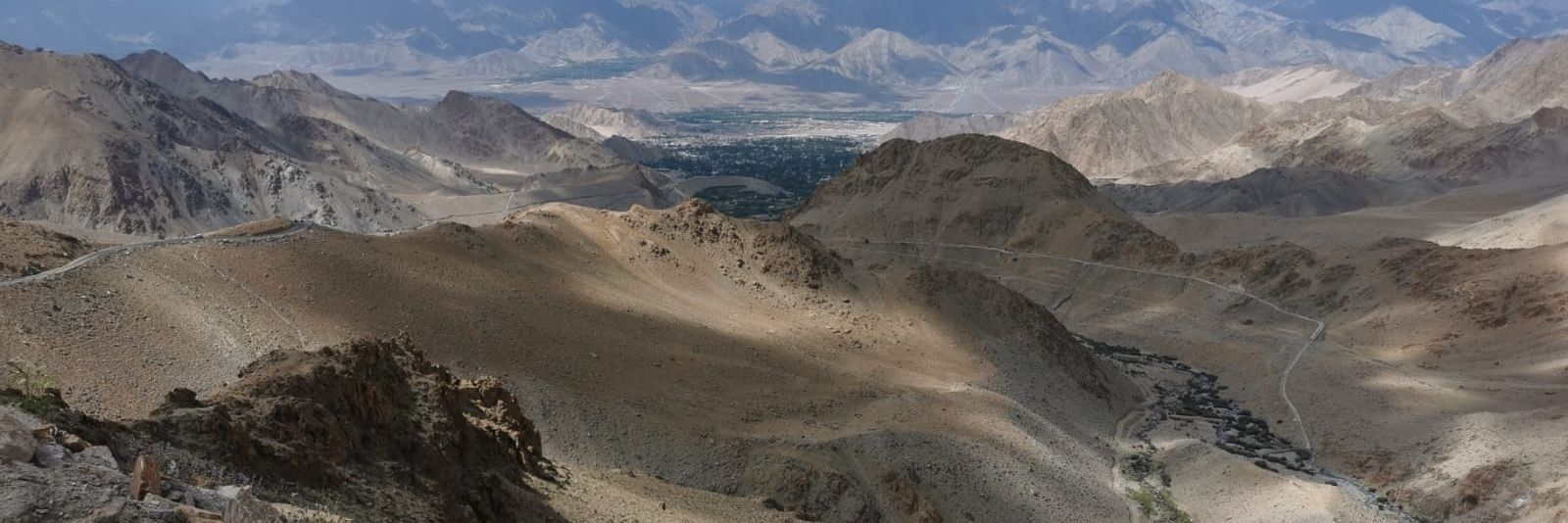 Ron Hoffman 🇹🇭 🇮🇱 banner