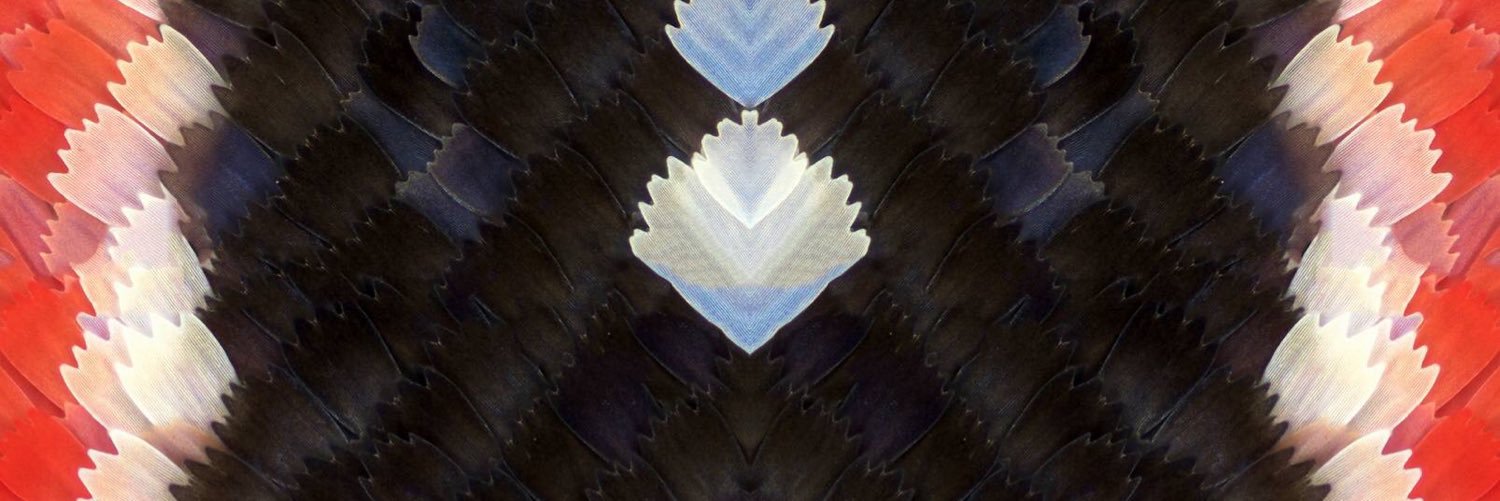 MayiPopaE's profile banner image