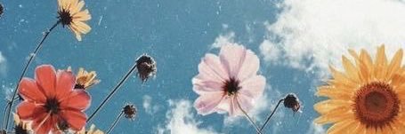 ieporterfield's profile banner image