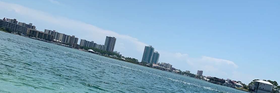 tangorum_'s profile banner image