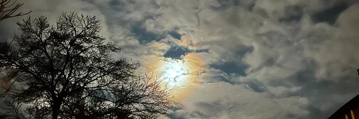 Zee_nl_ir's profile banner image