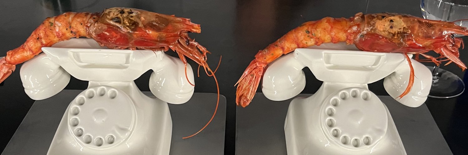 Max Ridley (@maxridley.bsky.social) banner