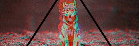 gpoch1297's profile banner image