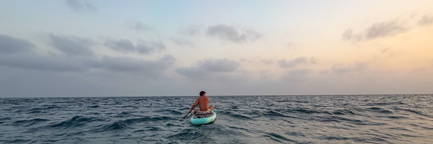 Nicolas Vidal banner