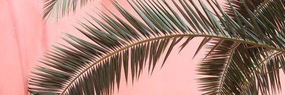 AleBradshaw's profile banner image