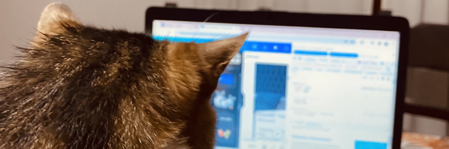 mpaulamaitini's profile banner image