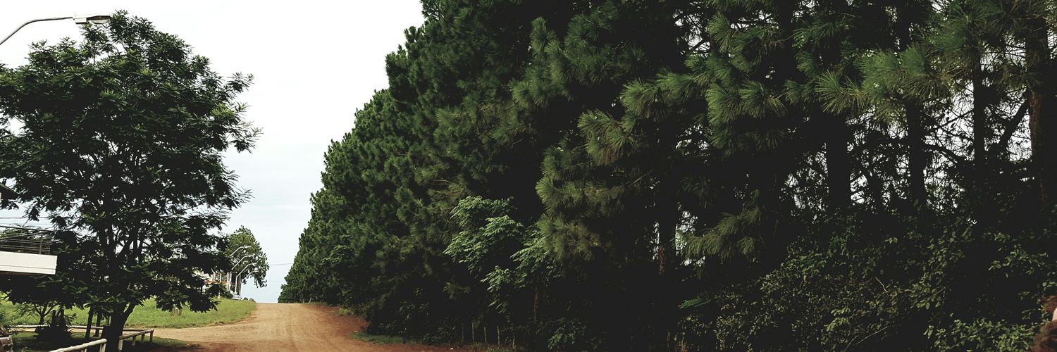 ColliCuervo's profile banner image