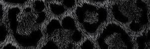 moniquect_'s profile banner image