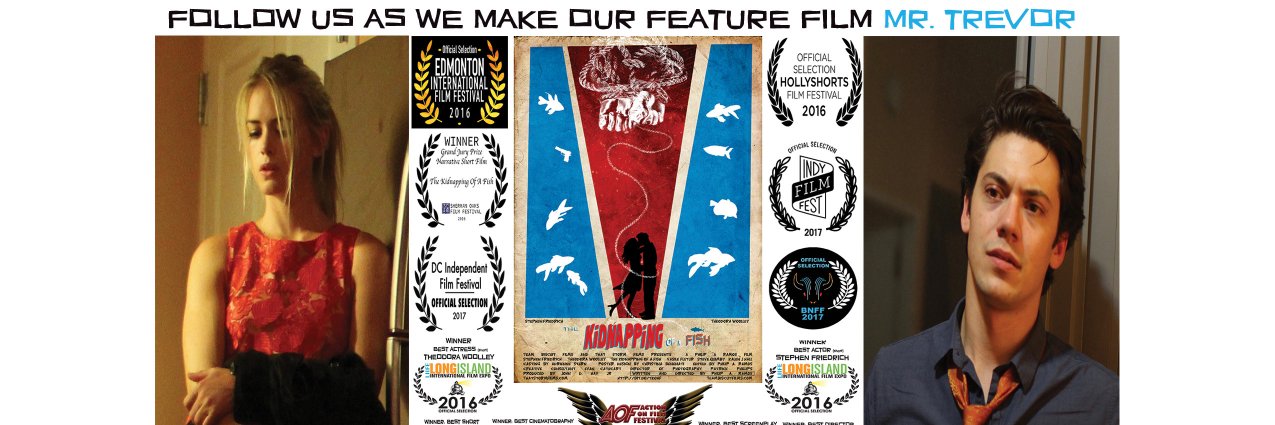 kidnappingafish's profile banner image