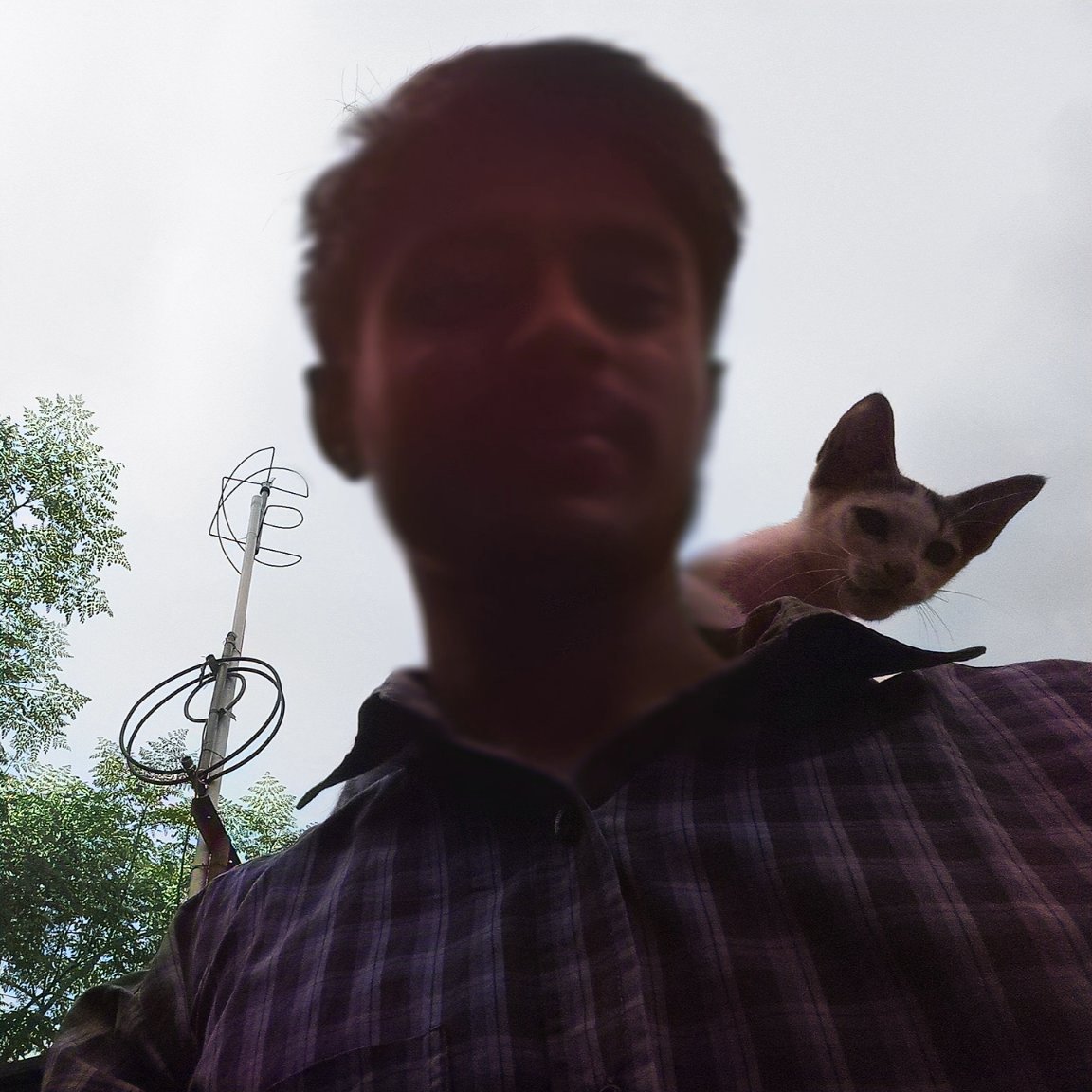 ShakibShayed's profile banner image