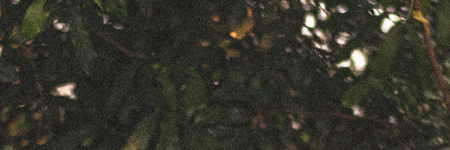 carand1na's profile banner image