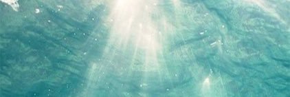 king___harry's profile banner image