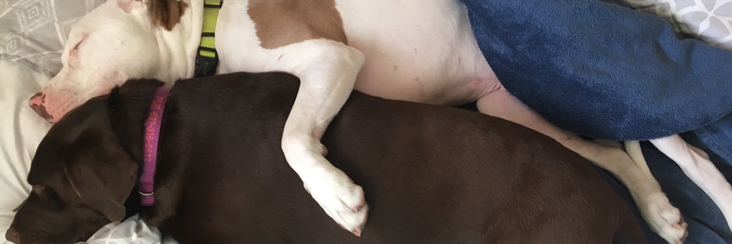 adarcy_'s profile banner image