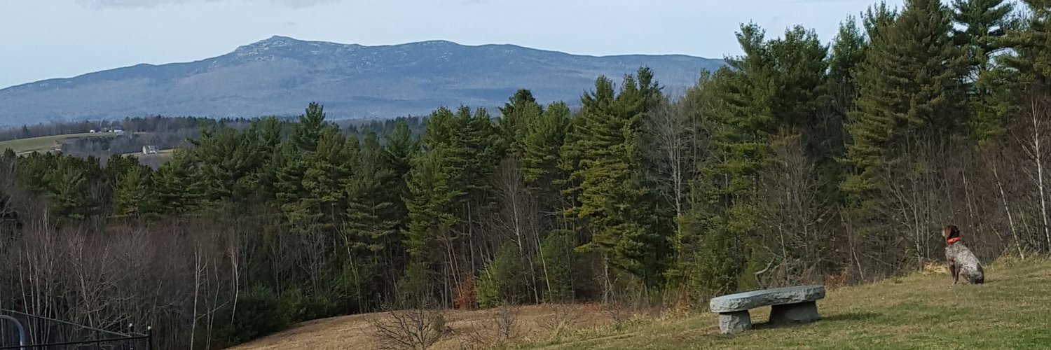 TimBurg5's profile banner image