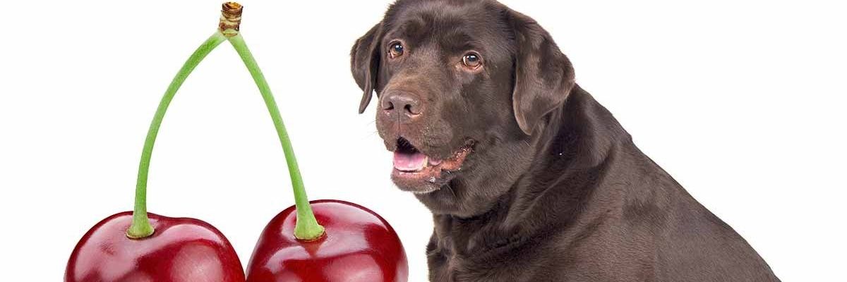 beepbeepitteej's profile banner image
