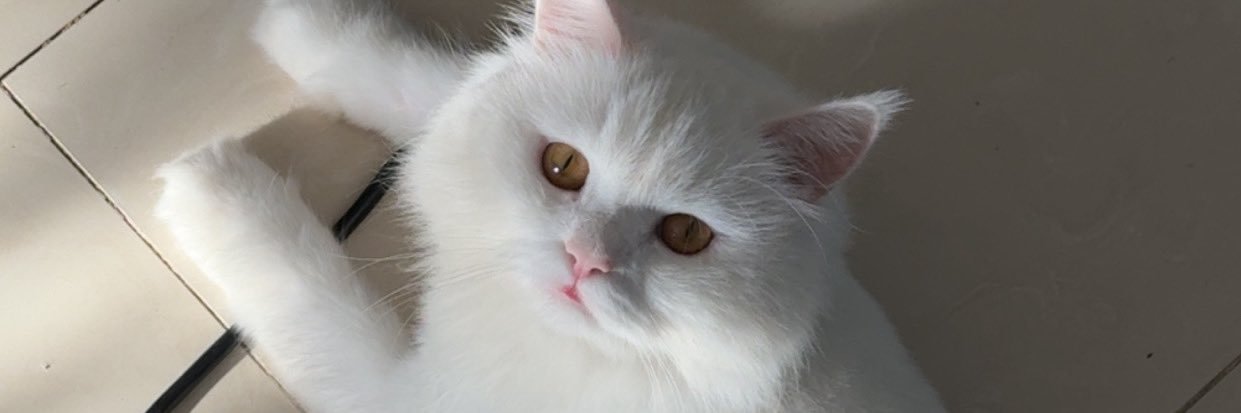khattab151's profile banner image