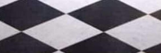 thatssoBarbara's profile banner image