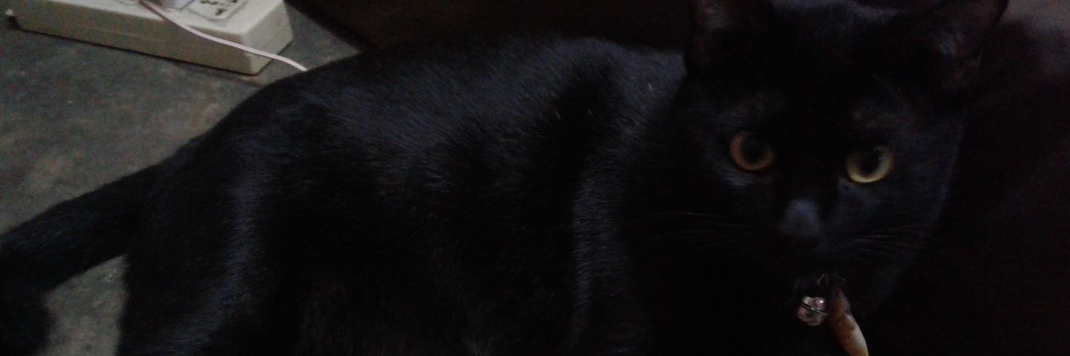 AFanAFon's profile banner image