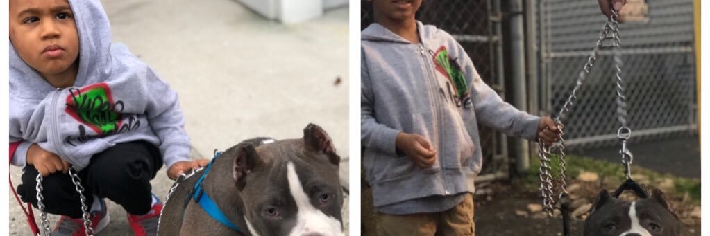 young_xstephx's profile banner image