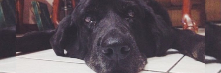 MonseHidalgo2's profile banner image