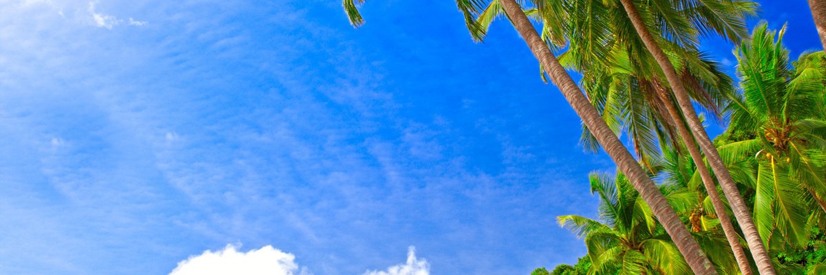 yindhai's profile banner image